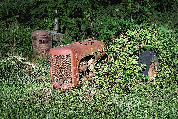 Abandoned Tractors in Overgrown Field Wall Art