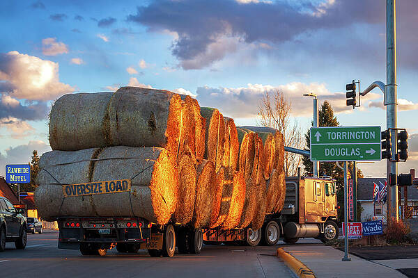 Truck Hauling Large Hay Bales Wall Art