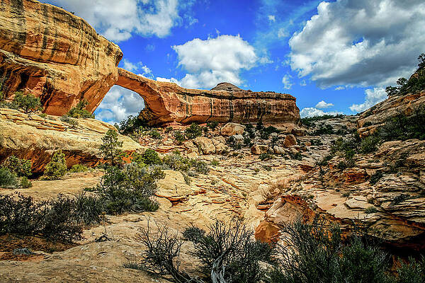Utah Wall Art featuring the photograph Owachomo Bridge by Diane Moller
