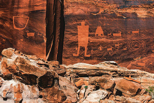 Alien Photograph - Owl Panel With Rocks, Moab, Utah by Abbie Warnock