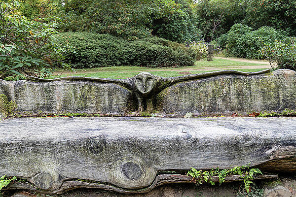 Sculpted Wooden Bench in Garden Wall Art