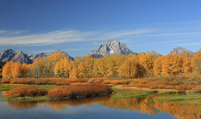 Wall Art featuring the photograph Oxbow Bend Fall Colors by Dan Sproul