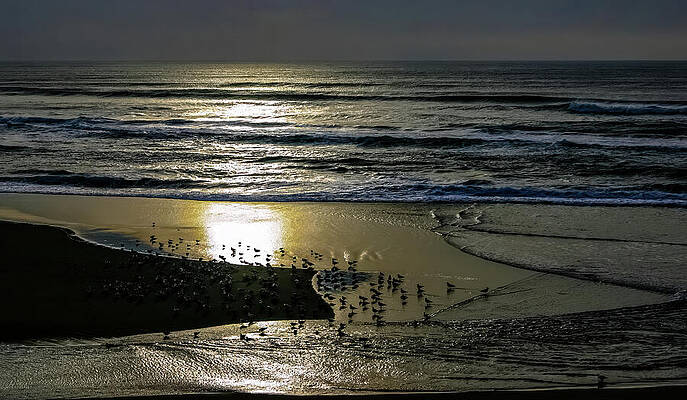 California Photograph - Pacifi Coast Just North Of Santa Cruz by Tommy Farnsworth