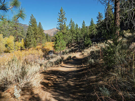 Pacific Crest Trail at Kennedy Meadows by Joe Schofield