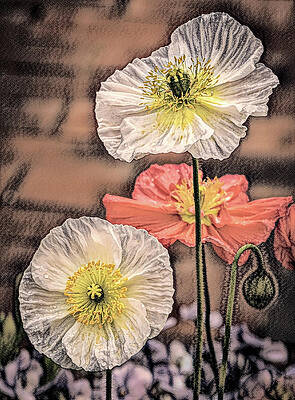 Yellow Wall Art featuring the photograph Painted By Sand Dust by Elvira Peretsman