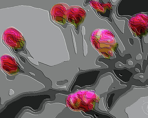 Wall Art featuring the mixed media Painted Crabapple Blossom by Robert Allen Hill