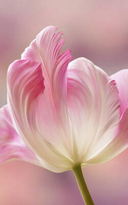 Wall Art featuring the photograph Painted Parrot Tulip by Mary Jo Allen