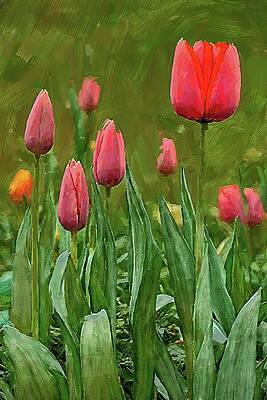 Vibrant Wall Art featuring the digital art Painting Of Tulips In The Meadow by Nature Oil Painting