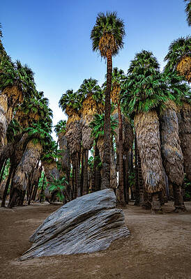 Canyon Photograph - Palm Canyon Boulder, California - Vertical by Abbie Warnock