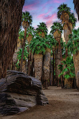 Canyon Photograph - Palm Canyon Boulder With Sunset, California by Abbie Warnock