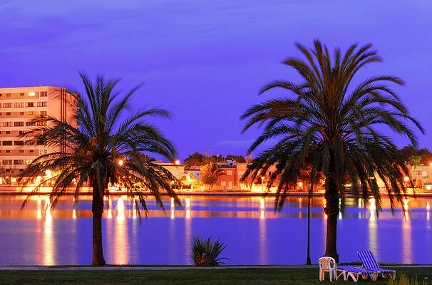Landscape Wall Art featuring the photograph Palm Trees In Dusk  Evening by Severija Kirilovaite