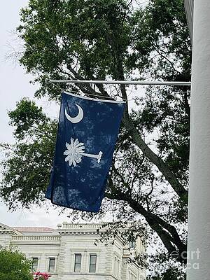 Tree Wall Art featuring the photograph Palmetto by La Dolce Vita