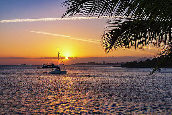 Wall Art featuring the photograph Panama Bay At Sunset by Tatiana Travelways