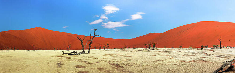 Wall Art featuring the photograph Panorama Of Red Dunes And Dead Camel Thorn Trees In Deadvlei, Namibia by Miroslav Liska
