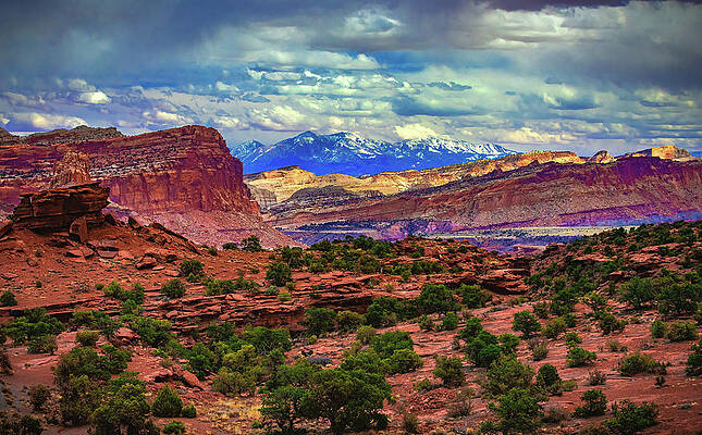 Landscape Photograph - Panorama Point, Capitol Reef - Utah by Abbie Warnock