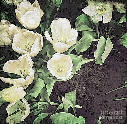 Nature Photograph - Paper Tulips 2 by Onedayoneimage Photography