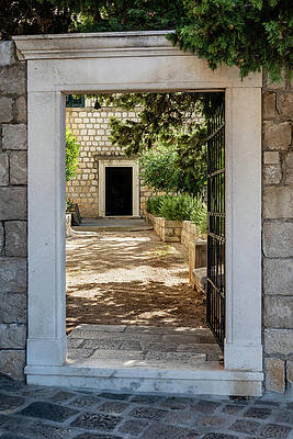 Tree Wall Art featuring the photograph Parallel Doors by Craig A Walker