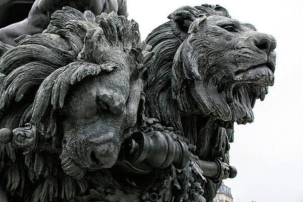 Wall Art featuring the photograph Paris Statue 1 by Lisa Chorny