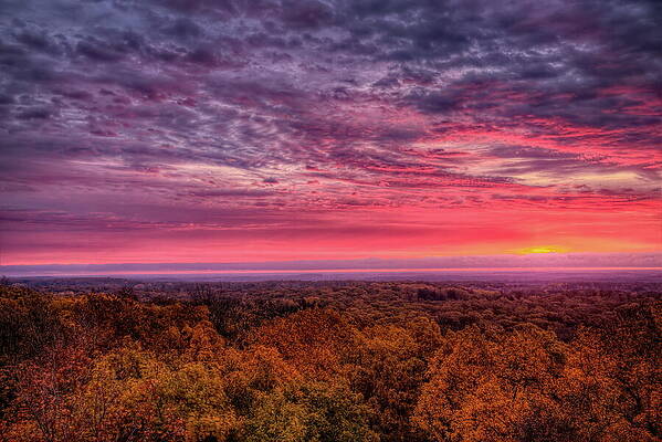 Wall Art featuring the photograph Parnell Tower 1 by Dale Kauzlaric