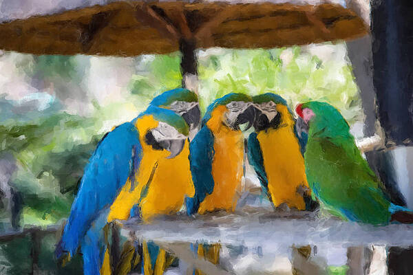 Painting - Parrot Conference by Gary Arnold