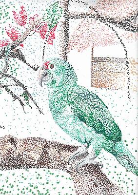 Nature Wall Art featuring the drawing Parrot Pointillism by Jenna Blank Page