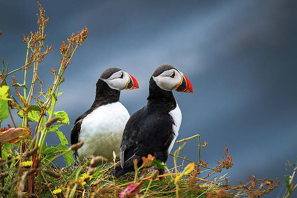 Sky Photograph - Partners by Jon Snyder