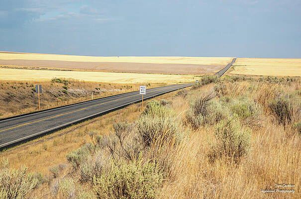 Photograph - Pass With Care Through Fields Of Gold by Tom Cochran