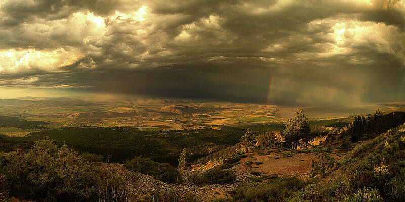 Moody Wall Art featuring the photograph Passing Storm by Mike Lee