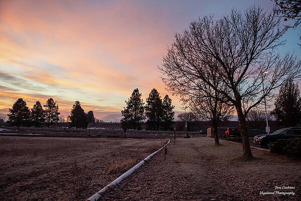 Wall Art featuring the photograph Pastel January Morning In Ellensburg by Tom Cochran