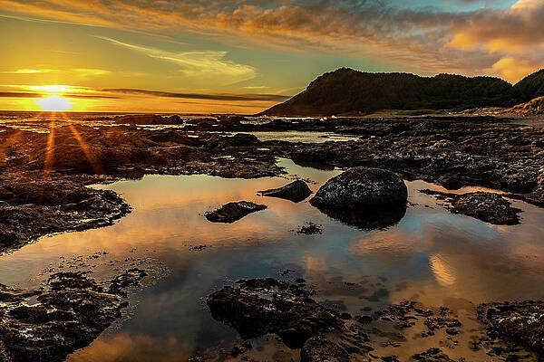 Oregon Photograph - Pastel Pools by Tim Lyden