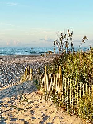 Sunrise Wall Art featuring the photograph Path To Paradise by Oceanic SkyView