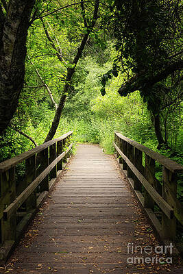 Outdoors Wall Art featuring the photograph Path To Tranquility by Abigail Diane Photography