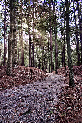 Historical Wall Art featuring the photograph Pathway Through History by American Landscapes