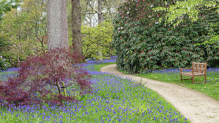 Serene Pathway Through Flowering Spring Garden Wall Art