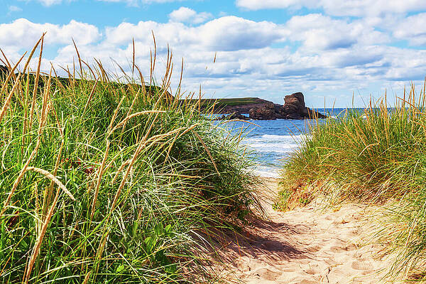 Wall Art featuring the photograph Pathway To The Beach, Cape Breton, Canada by Tatiana Travelways