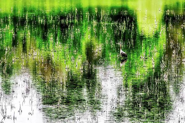 Wall Art featuring the digital art Patient Heron In The Wetlands by Bruce Block