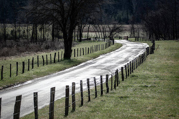 Tennessee Wall Art featuring the photograph Patterns Of Cades Cove by Douglas Wielfaert