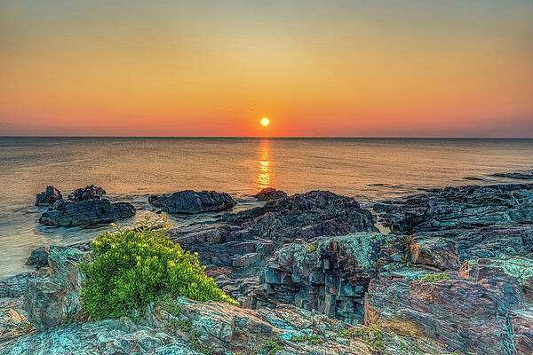 Wall Art featuring the photograph Peace And Tranquility by Penny Polakoff