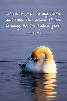 Wall Art featuring the photograph Peace And Trust Inspirational Message by Tatiana Travelways