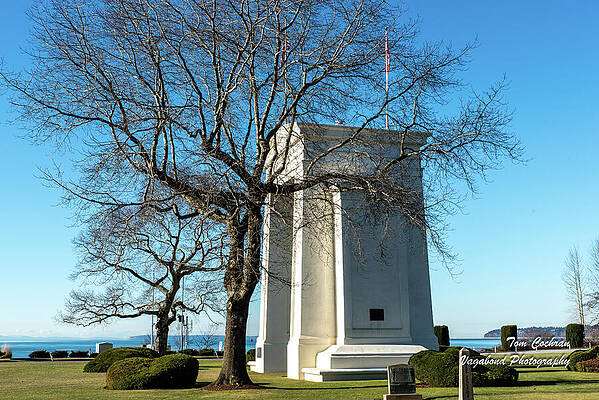 Sky Wall Art featuring the photograph Peace Arch And January Trees by Tom Cochran