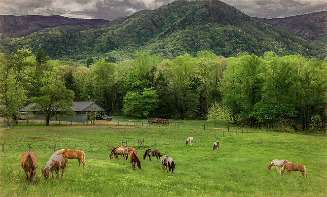 Cade Cove Photograph - Peace In The Smokies, Painterly by Marcy Wielfaert