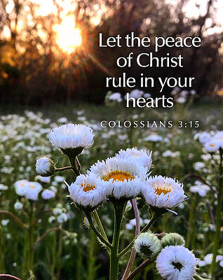 God Photograph - Peace Of Christ by Greg Lane