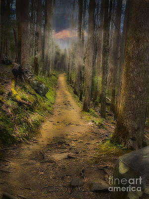 Sunrise Photograph - Peace Of Mind by Theresa D Williams Smoky Mountains