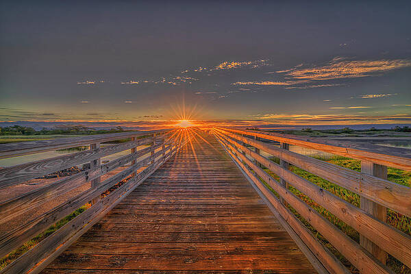 Maine Wall Art featuring the photograph Peaceful And Beautiful by Penny Polakoff