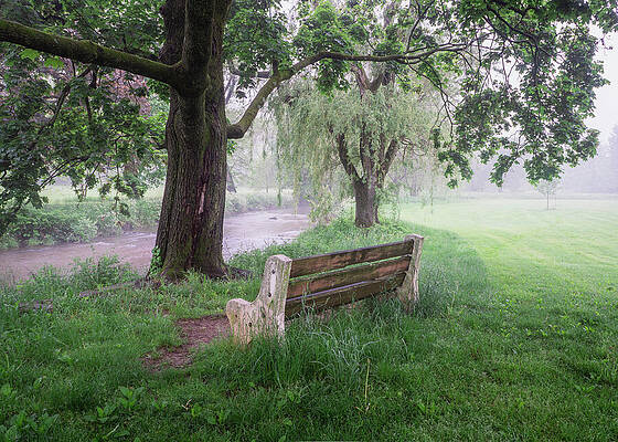 Serene Park Bench in Mist Wall Art