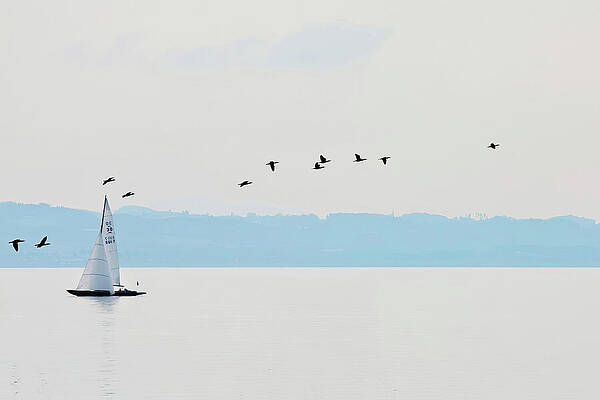 Sailboat on Tranquil Waters Photograph