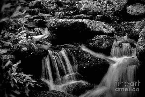 Peaceful Mountain Stream Wall Art