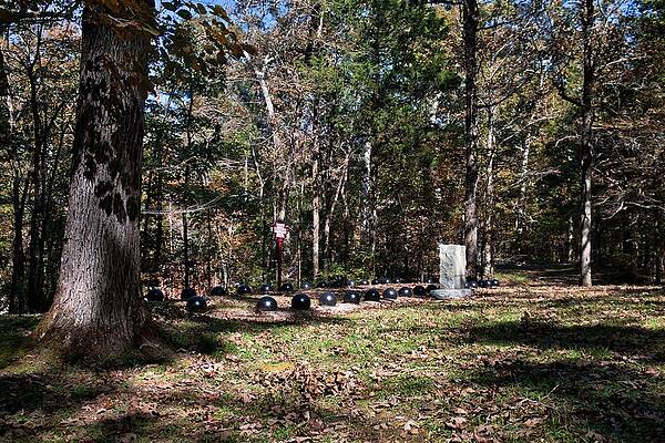 Confederate Wall Art featuring the photograph Peaceful Rest In The Forest by American Landscapes