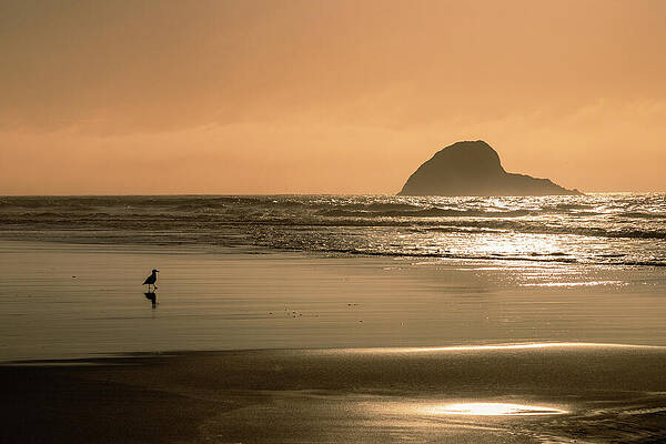 California Wall Art featuring the photograph Peaceful Solitude - Trinidad State Beach - Humboldt County California by Mike Lee