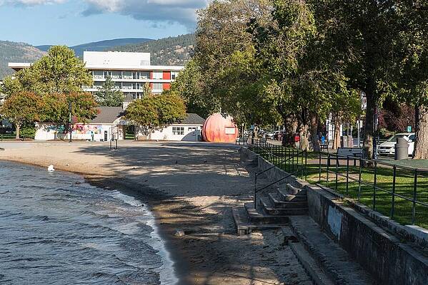 Beach Photograph - Peach On The Beach by Tom Cochran